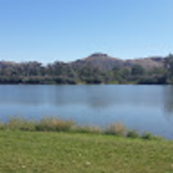 Meet your Posher, Brandi - Picture 1 of 1